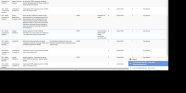 Record Details with Audit Trail