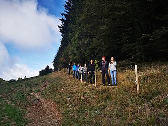 Team Event - Hicking in the Black Forest