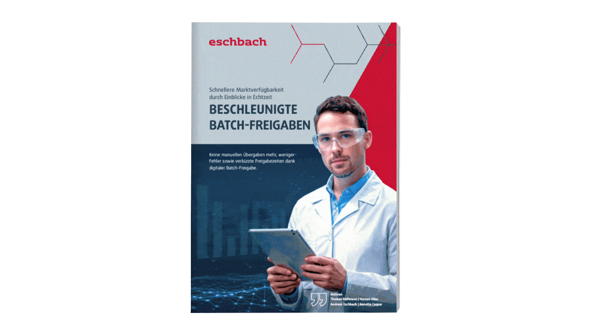 Blättervorschau WP Batch Tracker